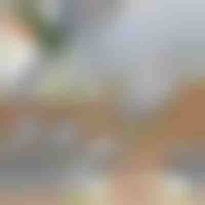 Cortador de Legumes Multiusos 3 em 1 | SLICEIEST