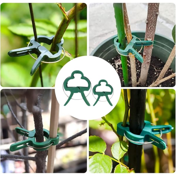 PLANTPIN15200