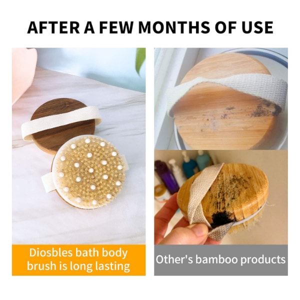 CELLUBROOM21300__0637c884