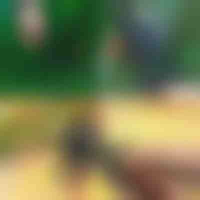 Tesoura para podar e enxertar | MASTERCUT