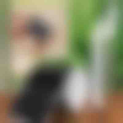 Etiquetas com marcador | LABIES