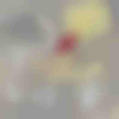 Filtro adicional para PETSPRINGLE | SPRINGLEFIL