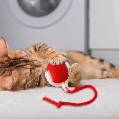 Brinquedo para animais que se move ao toque | GATOPLAY