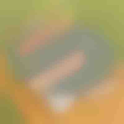 Cabos de madeira para KOREPAN