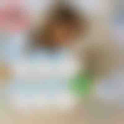 6 sacos descartáveis + pente para piolhos GRÁTIS